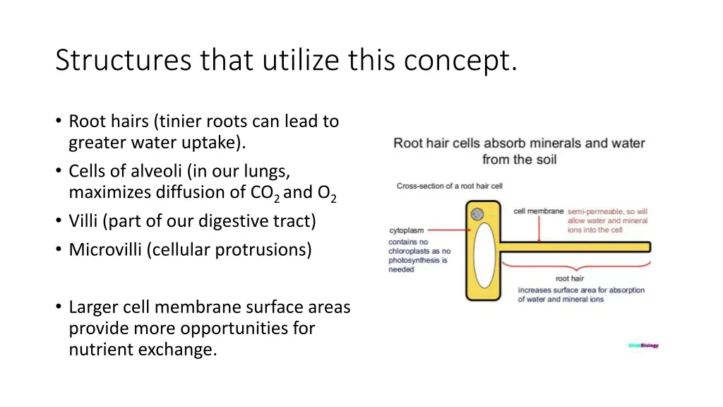 structures that utilize this concept