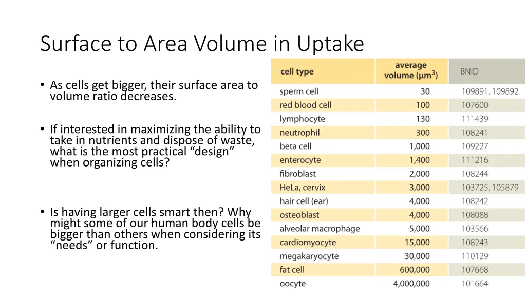 surface to area volume in uptake