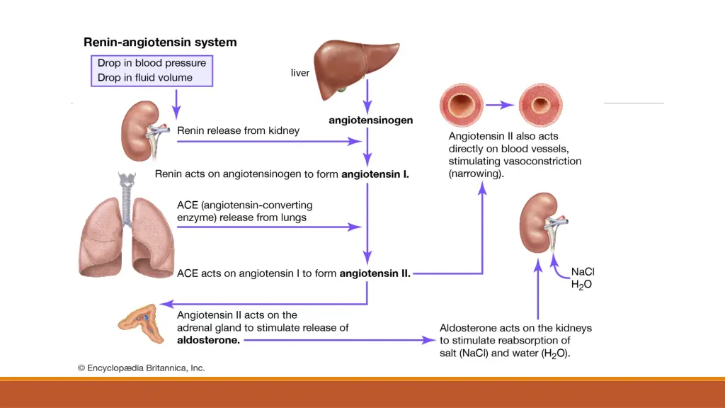 slide14
