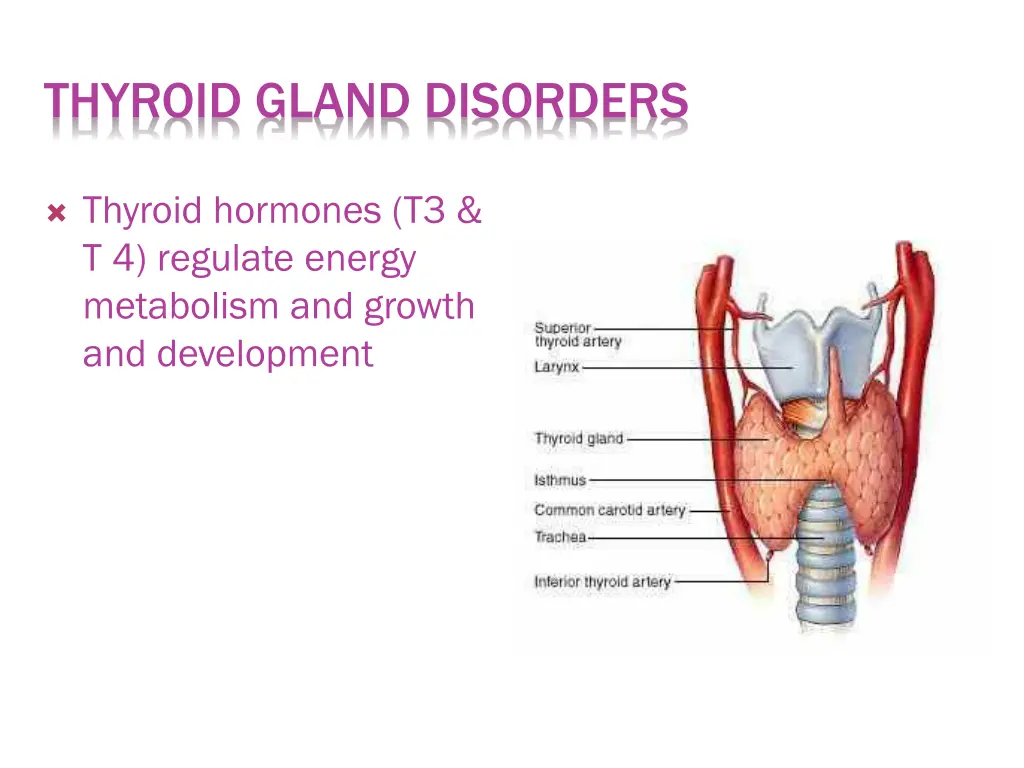 thyroid gland disorders