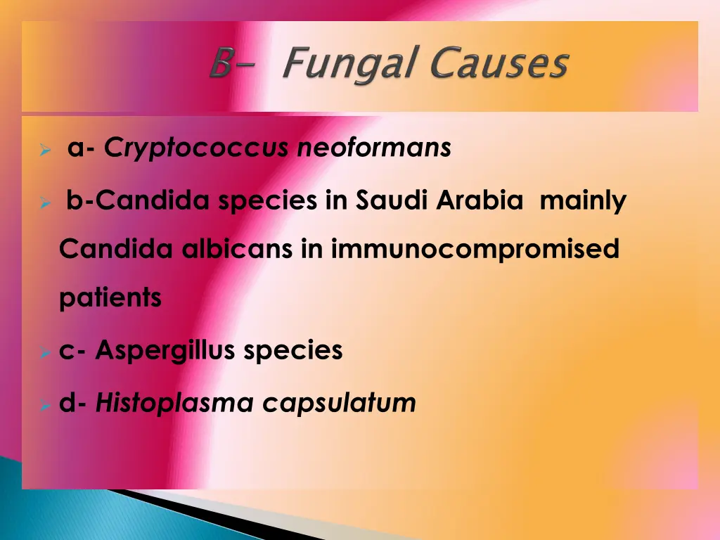 a cryptococcus neoformans
