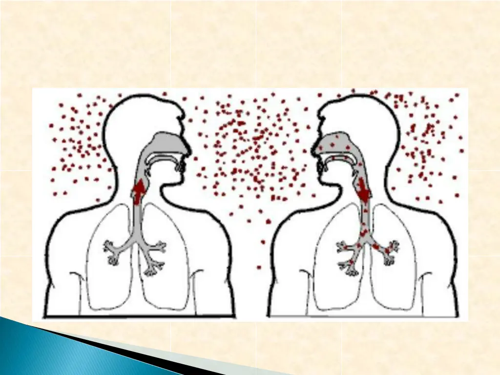 slide13