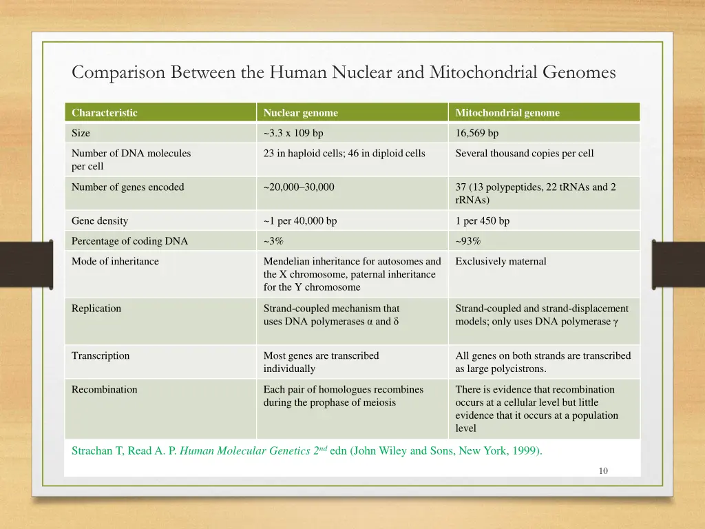 comparison between the human nuclear