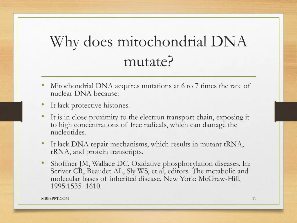 why does mitochondrial dna mutate
