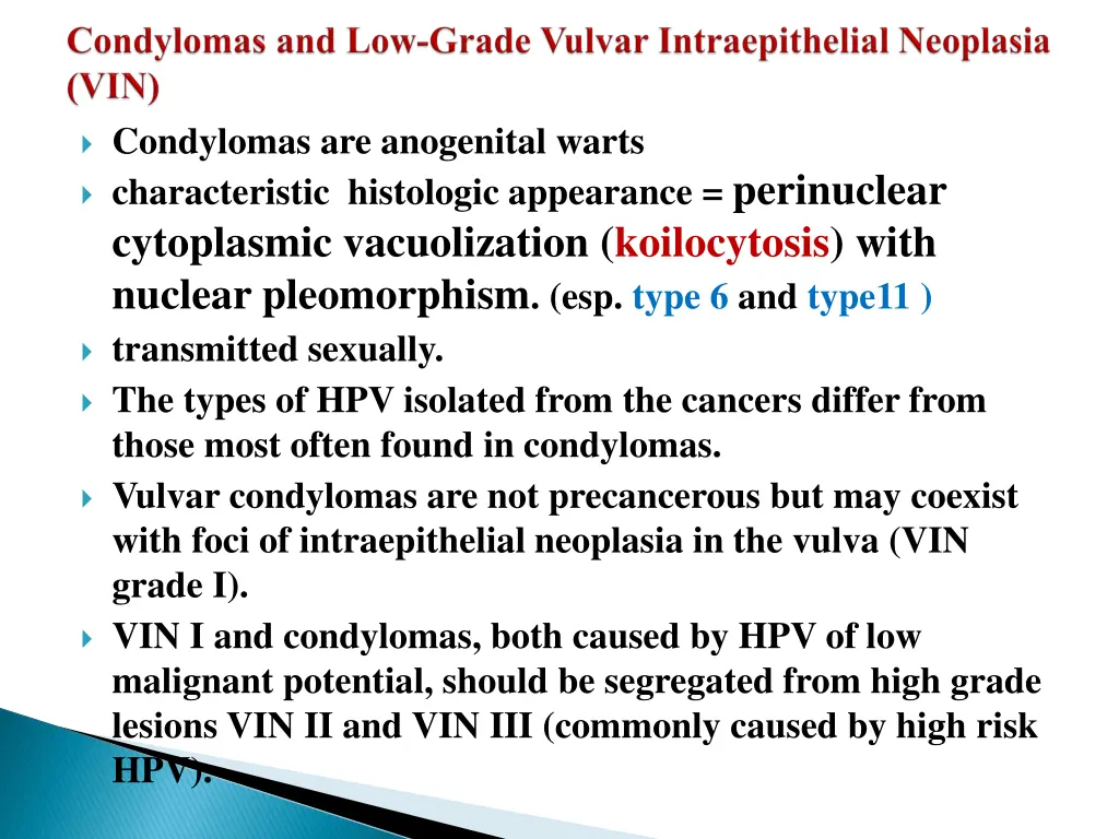 condylomas are anogenital warts characteristic