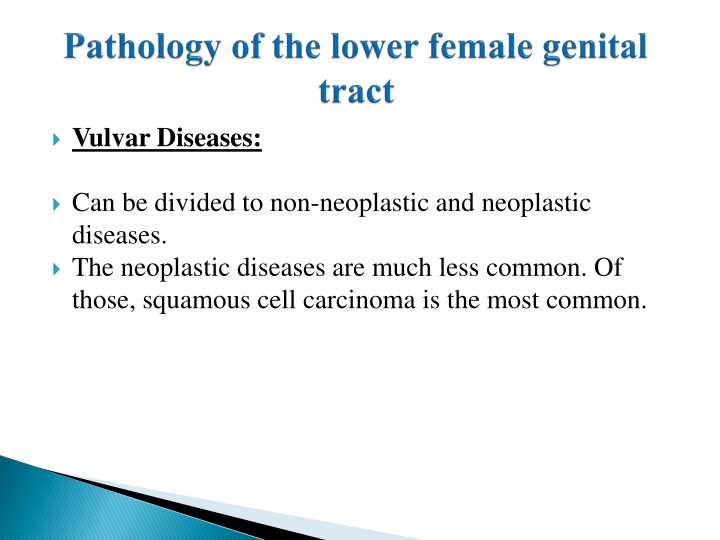 vulvar diseases