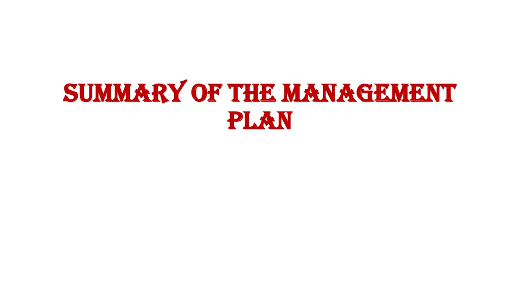 summary of the management summary