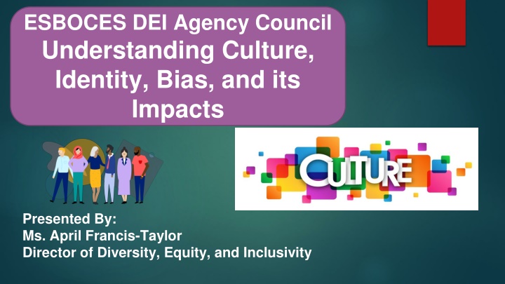 esboces dei agency council understanding culture