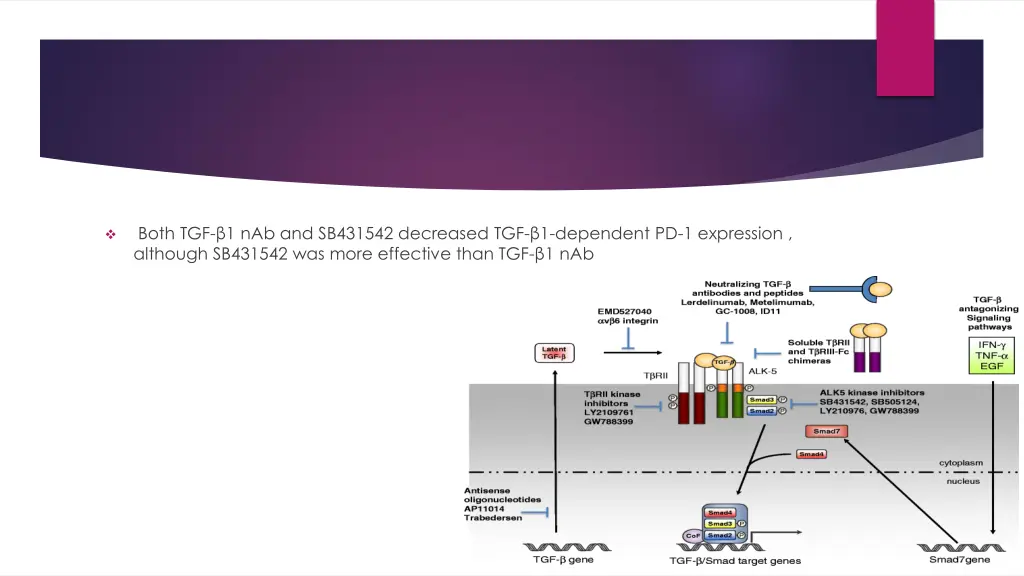both tgf 1 nab and sb431542 decreased