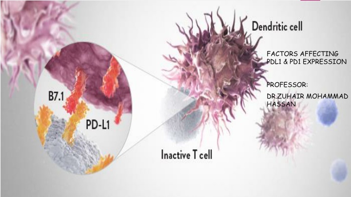 factors affecting pdl1 pd1 expression