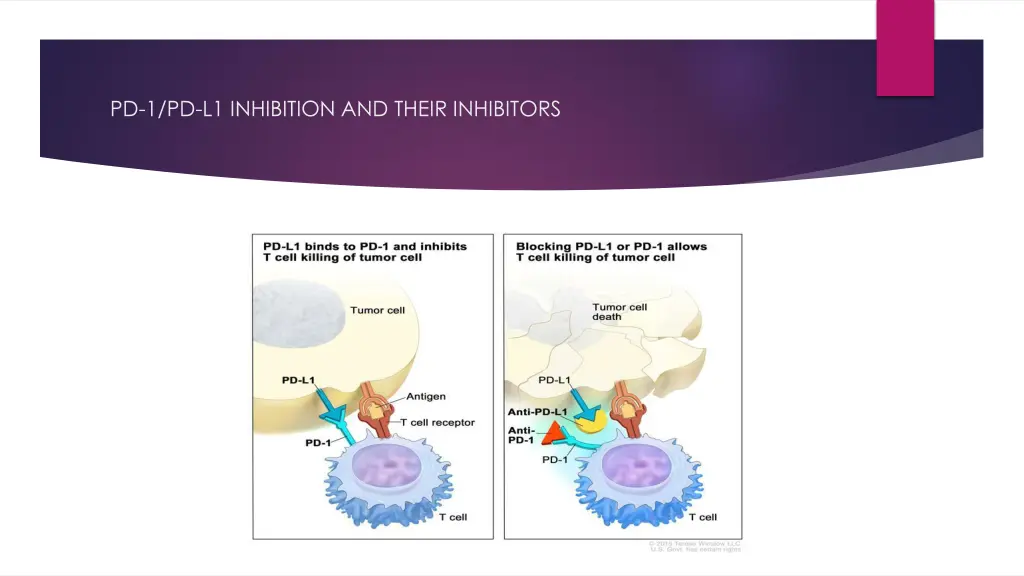 pd 1 pd l1 inhibition and their inhibitors