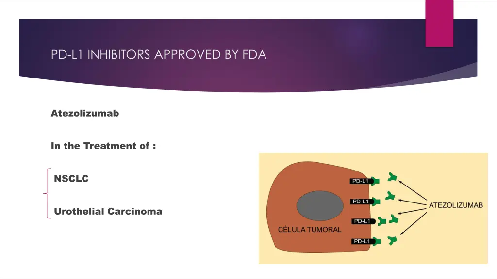 pd l1 inhibitors approved by fda