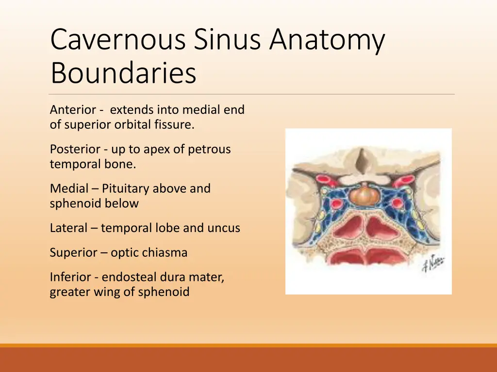 cavernous sinus anatomy boundaries