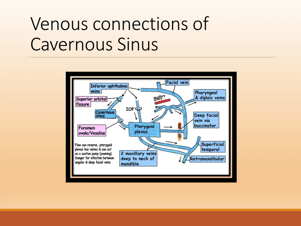 venous connections of cavernous sinus