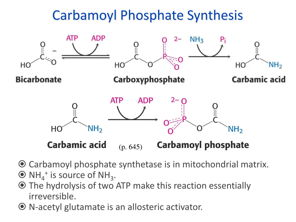 carbamoyl phosphate synthesis
