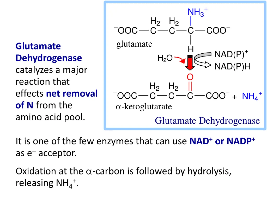 slide3