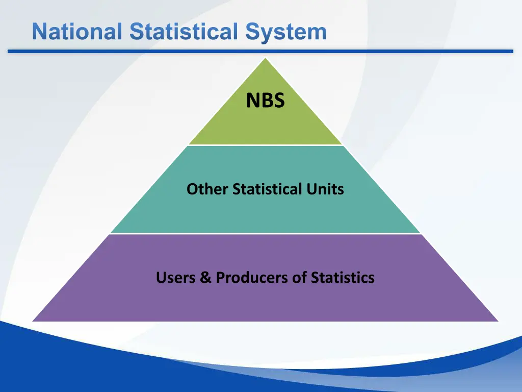 national statistical system 1