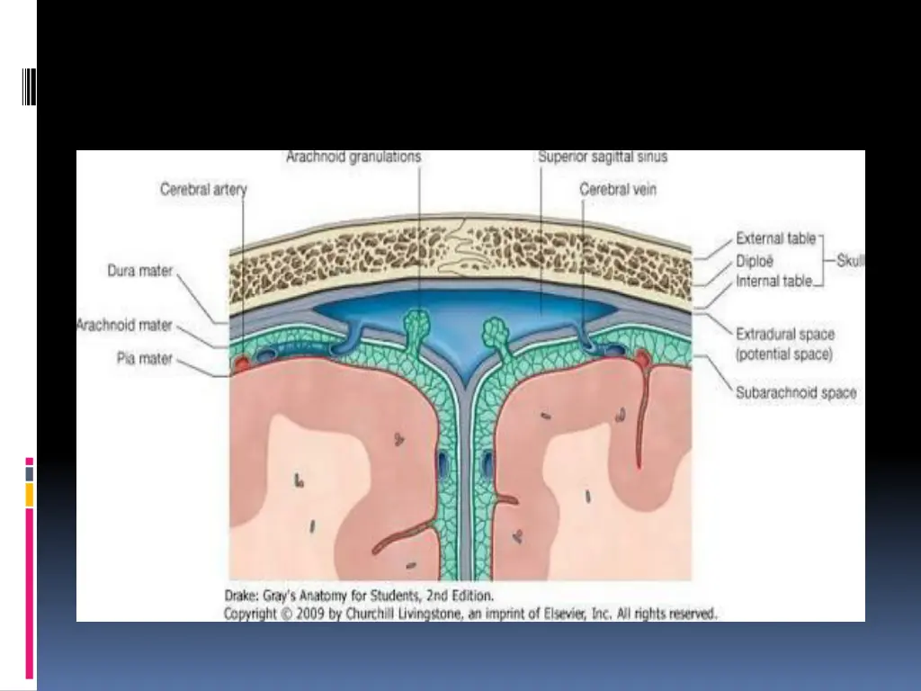 slide11