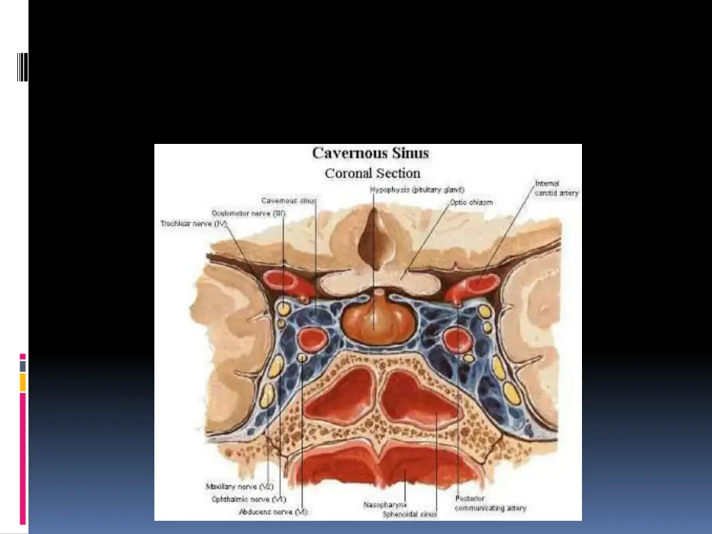 slide19