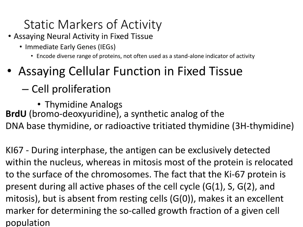 static markers of activity assaying neural