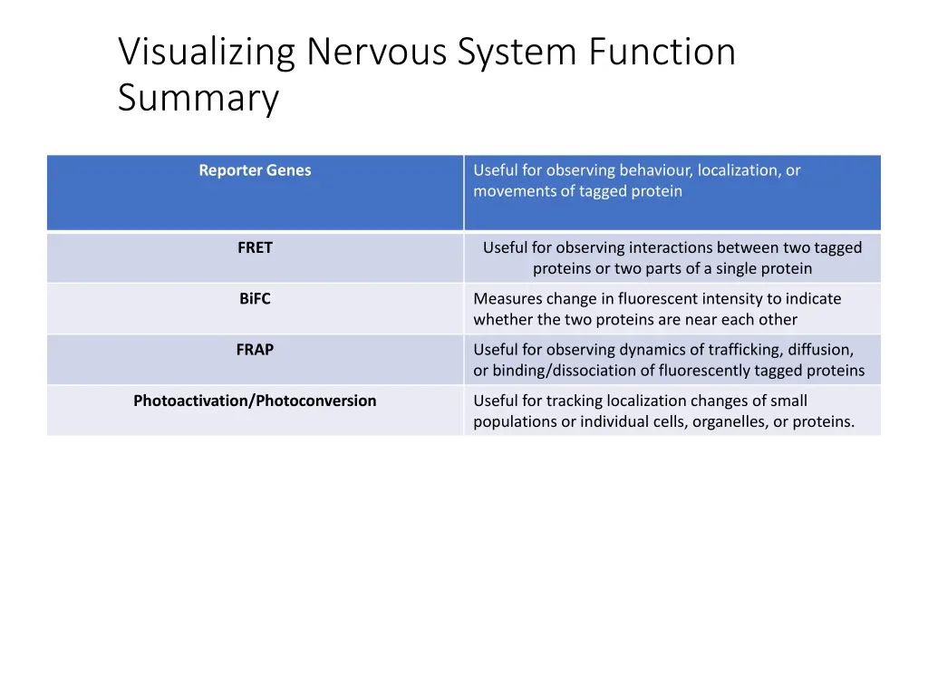 visualizing nervous system function summary