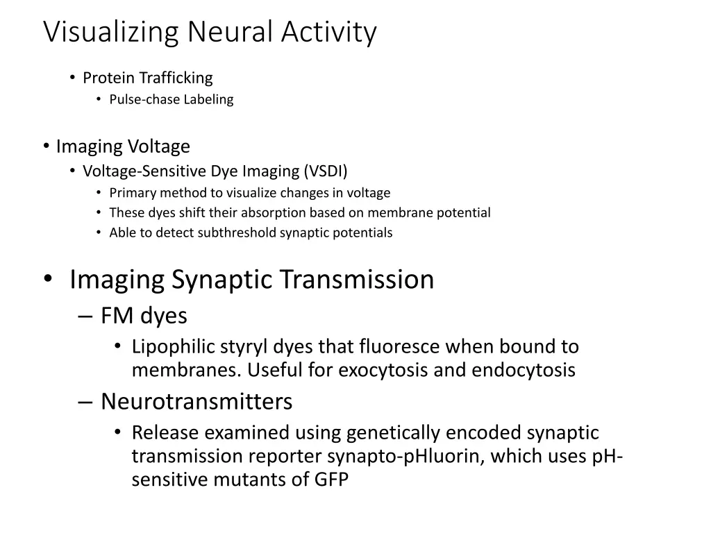 visualizing neural activity
