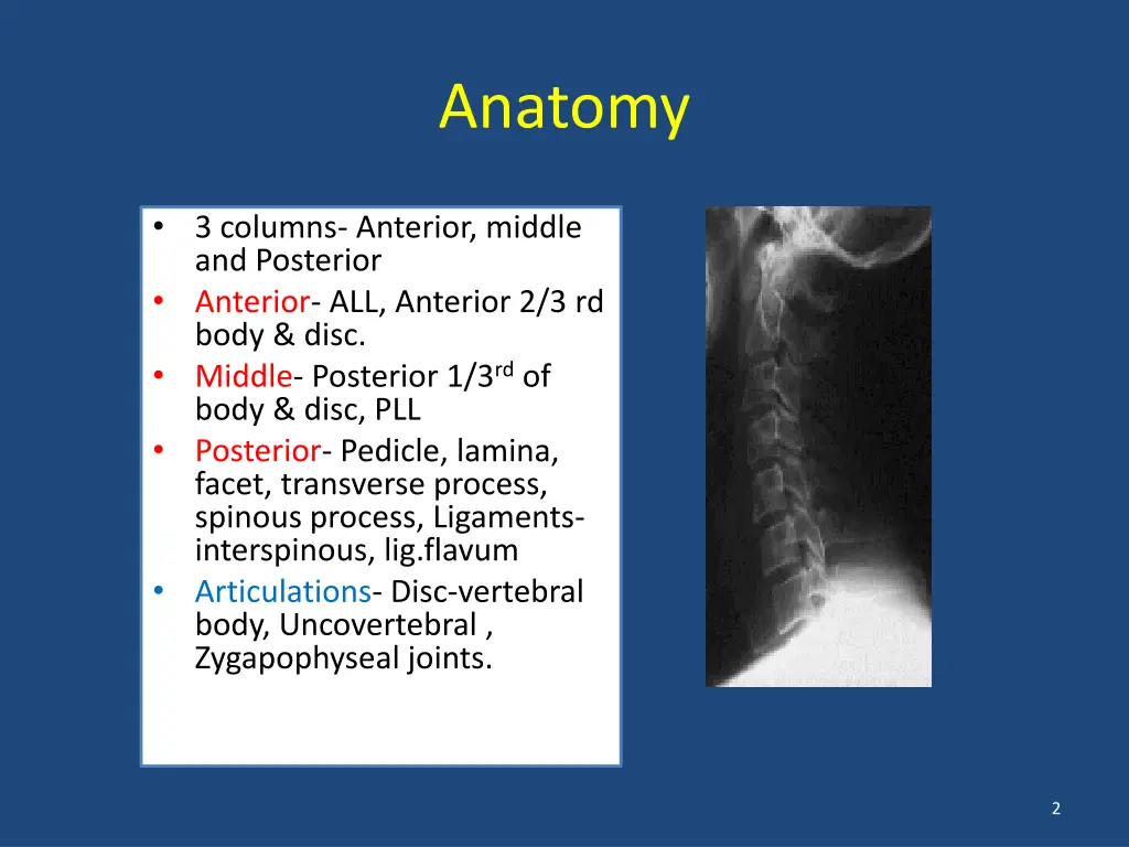 anatomy