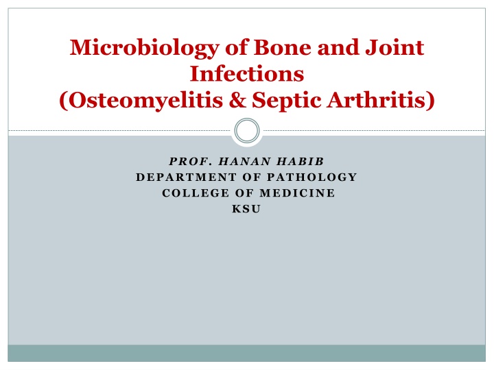 microbiology of bone and joint infections