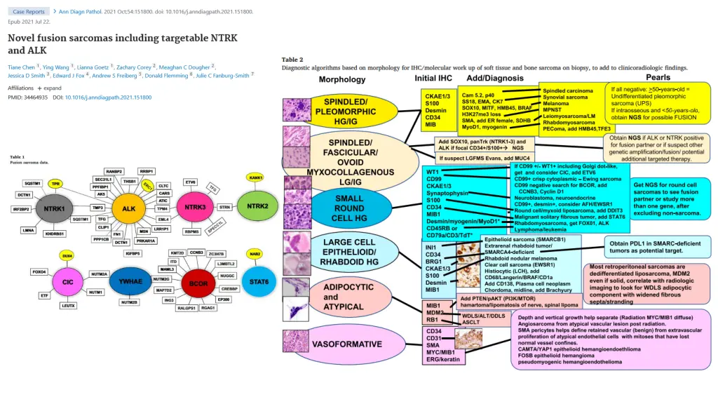 slide11