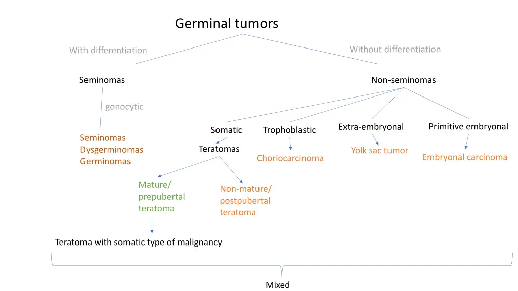 germinal tumors 1