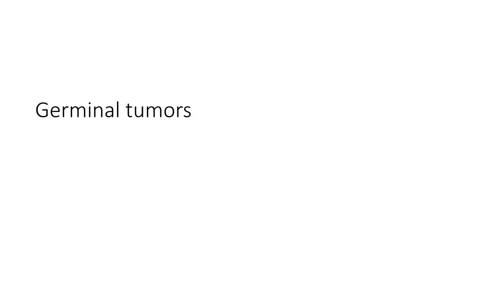 germinal tumors