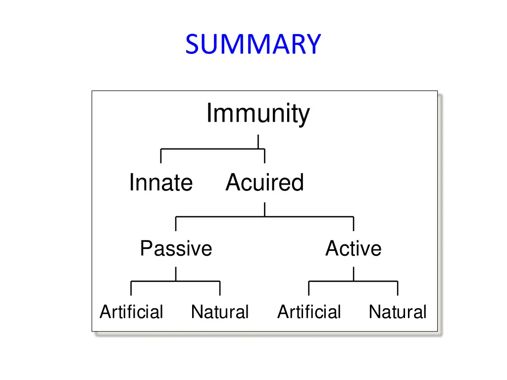 summary