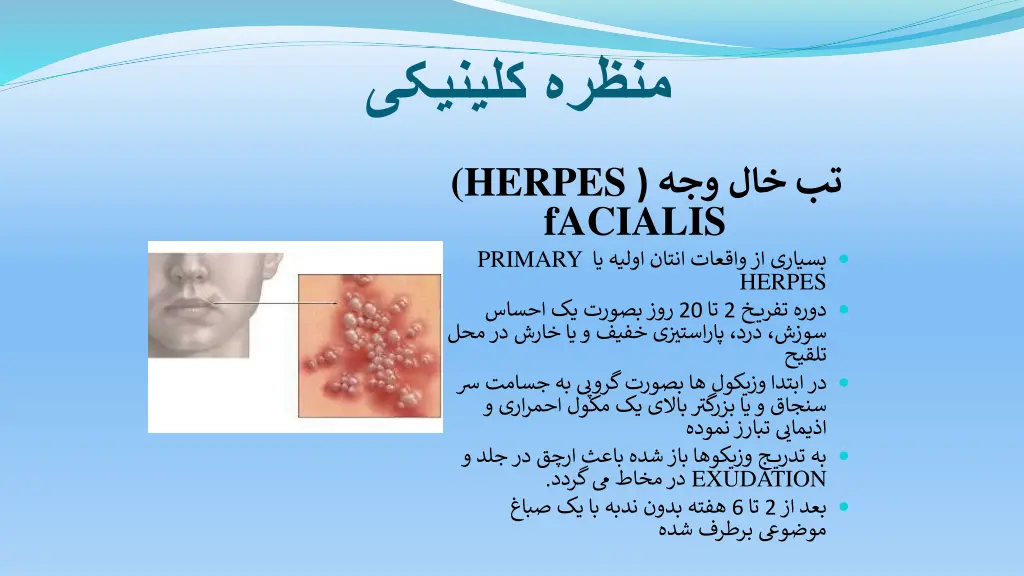 slide6