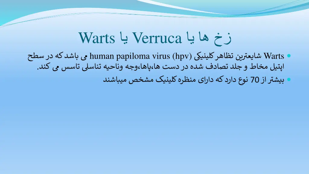 warts human papiloma virus hpv