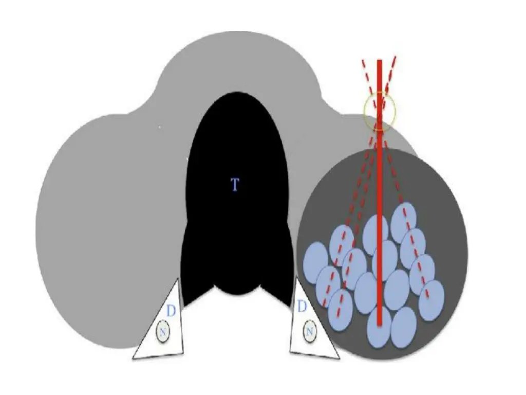 slide21