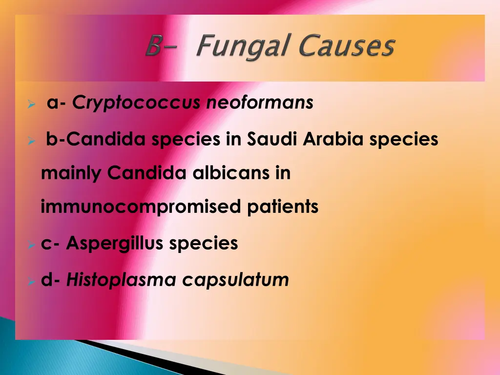 a cryptococcus neoformans