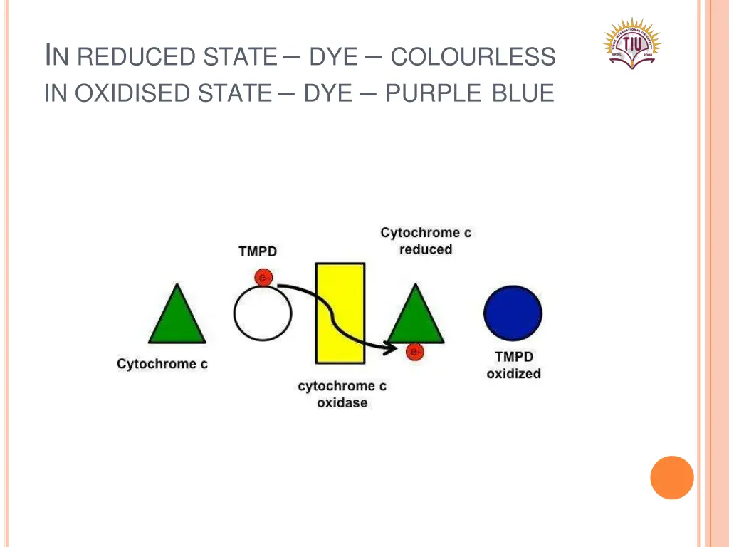 i n reduced state dye colourless in oxidised