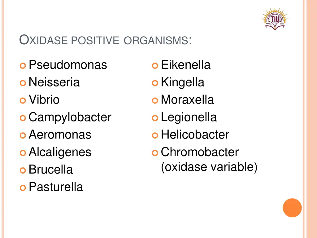 o xidase positive organisms