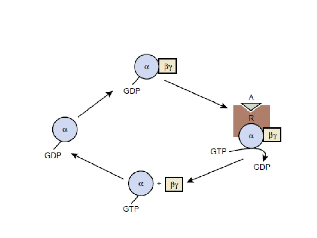 slide30