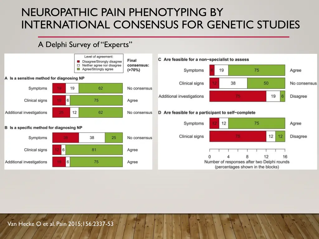neuropathic pain phenotyping by international