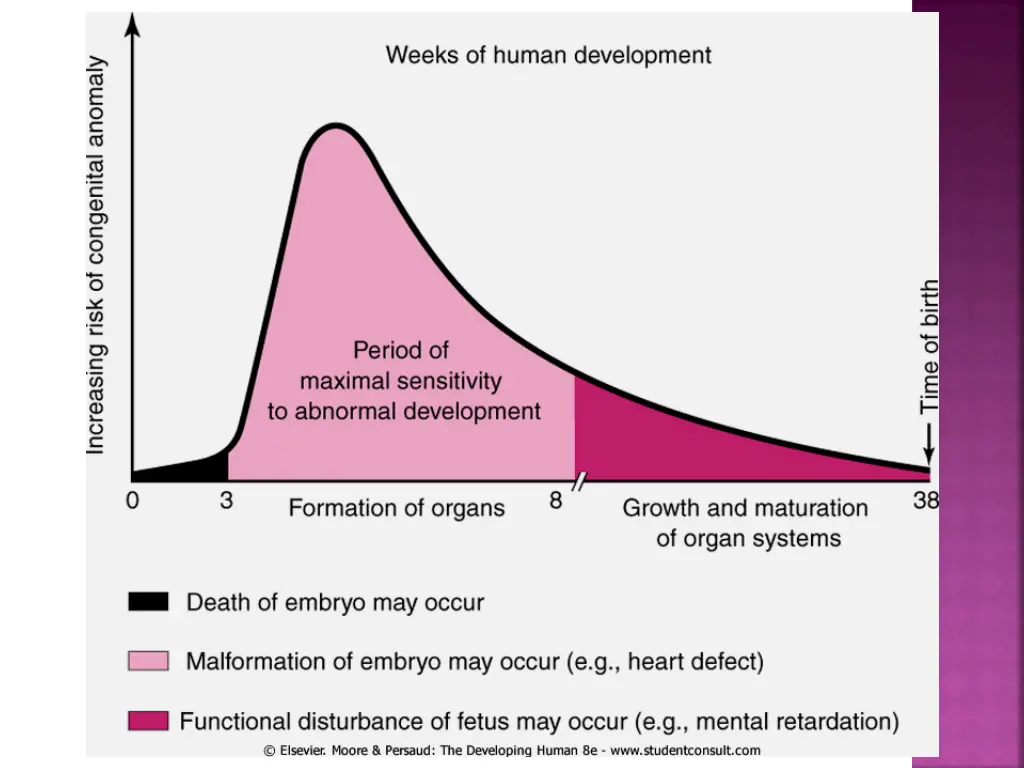slide9