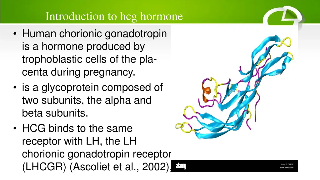 introduction to hcg hormone human chorionic