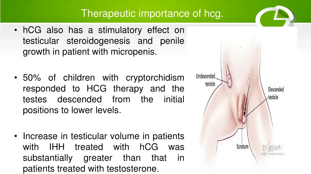 therapeutic importance of hcg