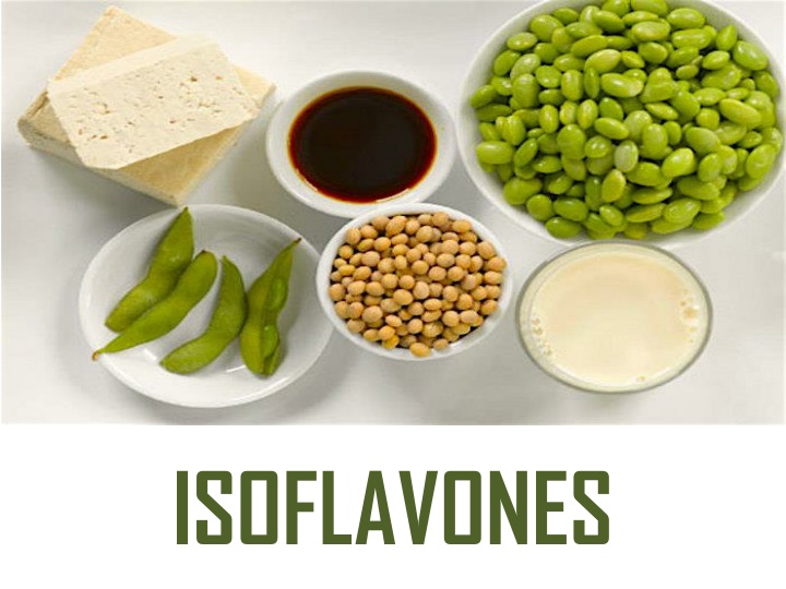 isoflavones