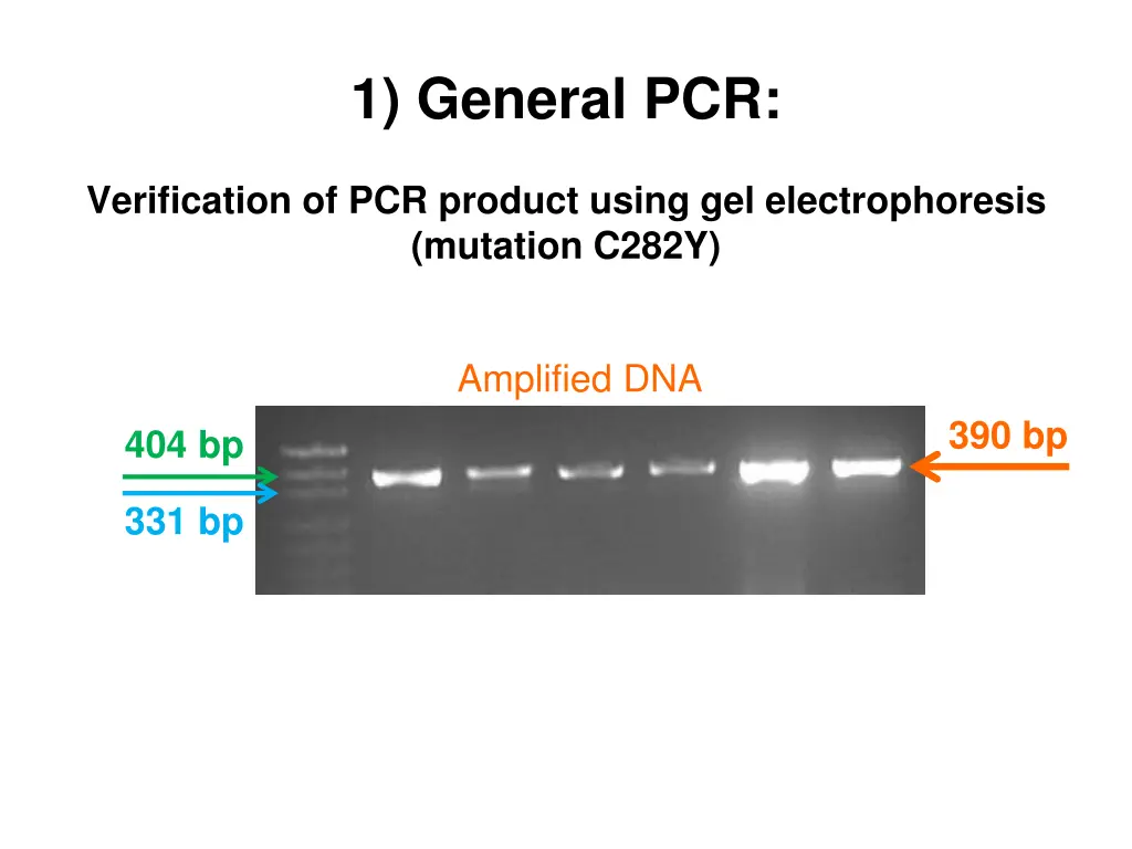 1 general pcr