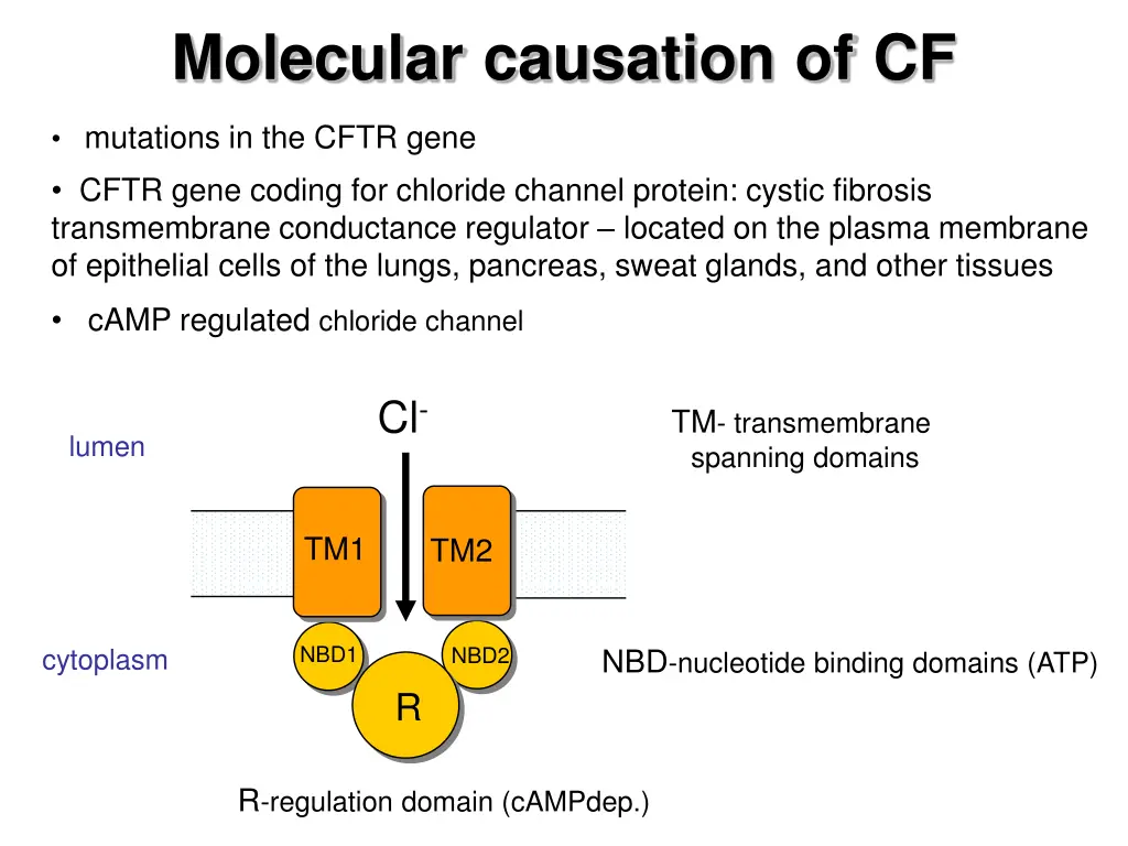 molecular causation of cf