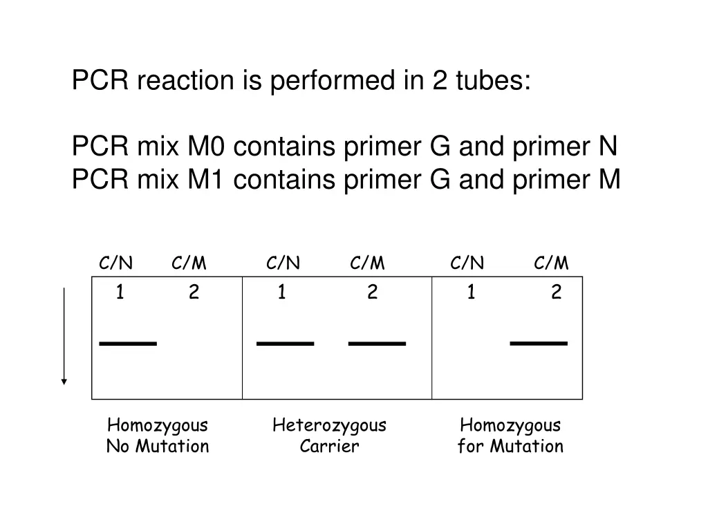 pcr reaction is performed in 2 tubes
