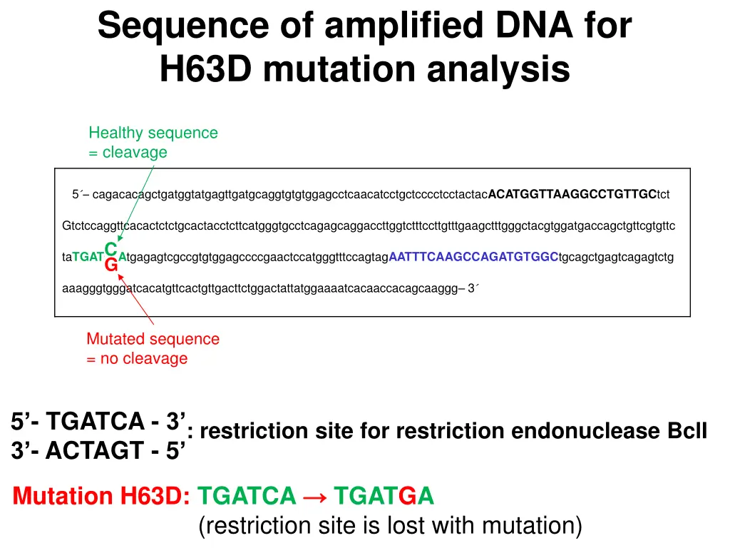 sequence of amplified dna for h63d mutation