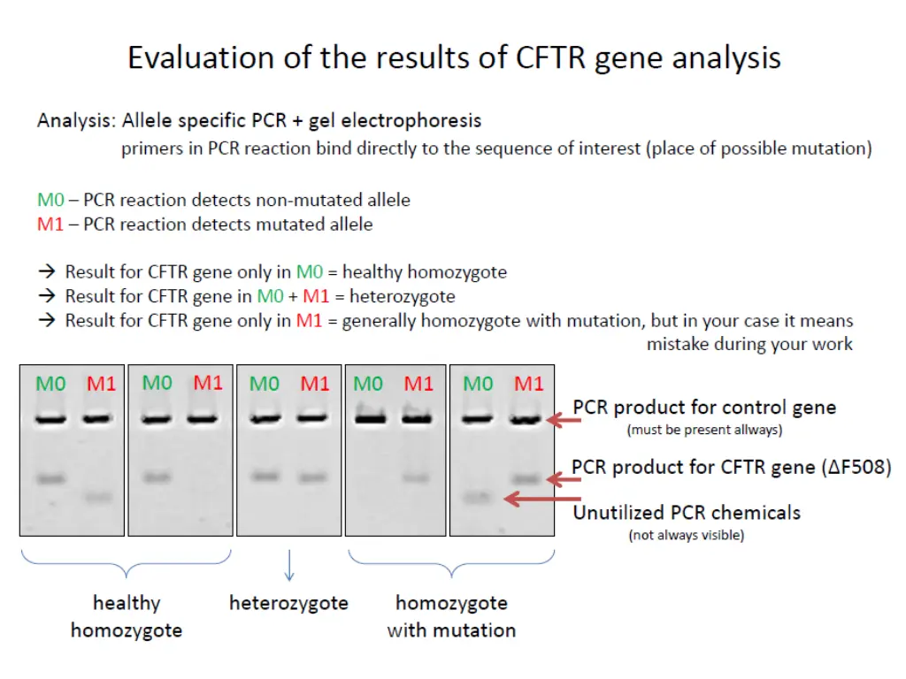slide26