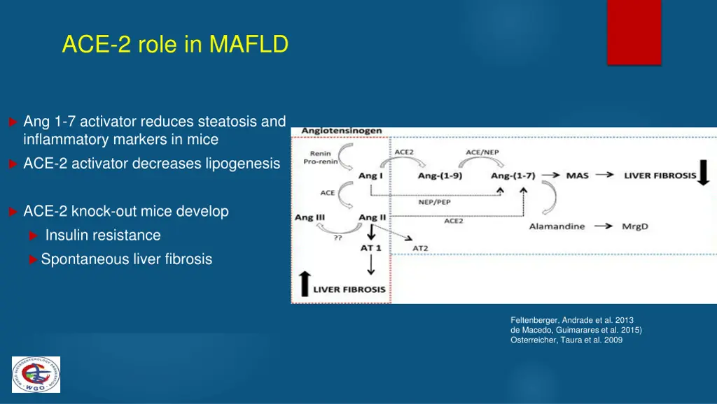 ace 2 role in mafld